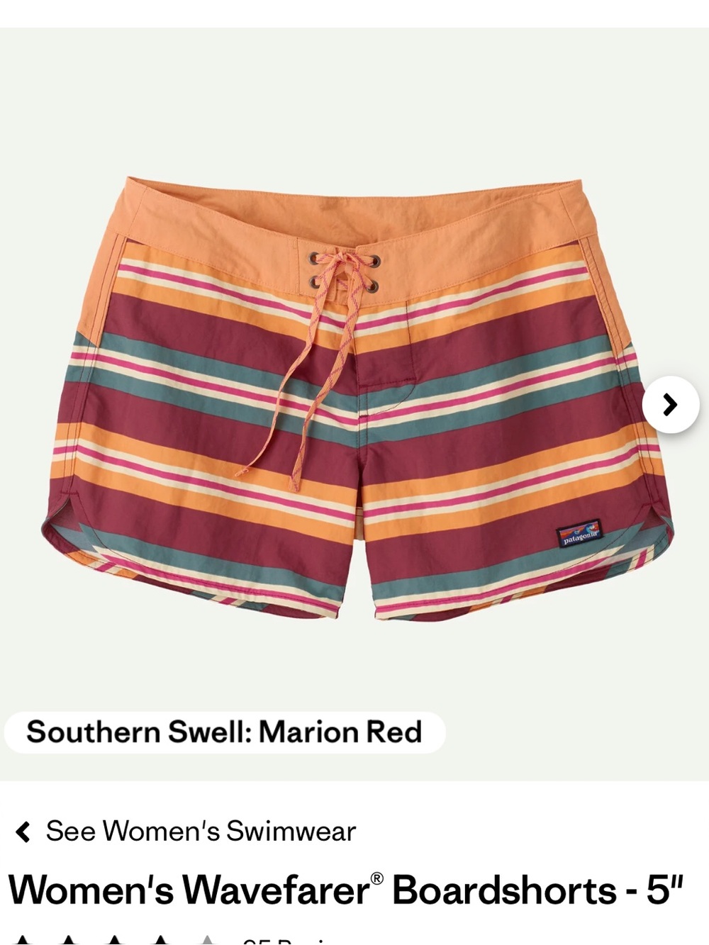 Patagonia Wavefarer Boardshorts - 5", Size 6, NWT